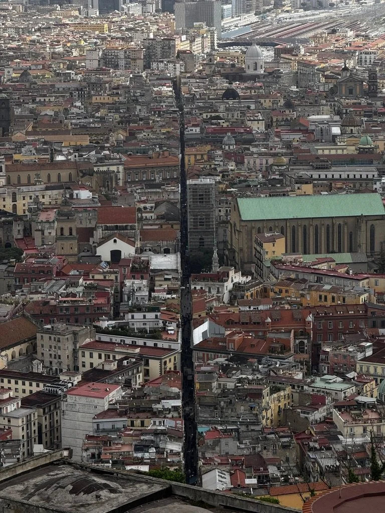 A cityscape with numerous tightly packed buildings, a prominent white-domed structure, and a narrow black line running vertically through the center. Shot in Naples, Italy