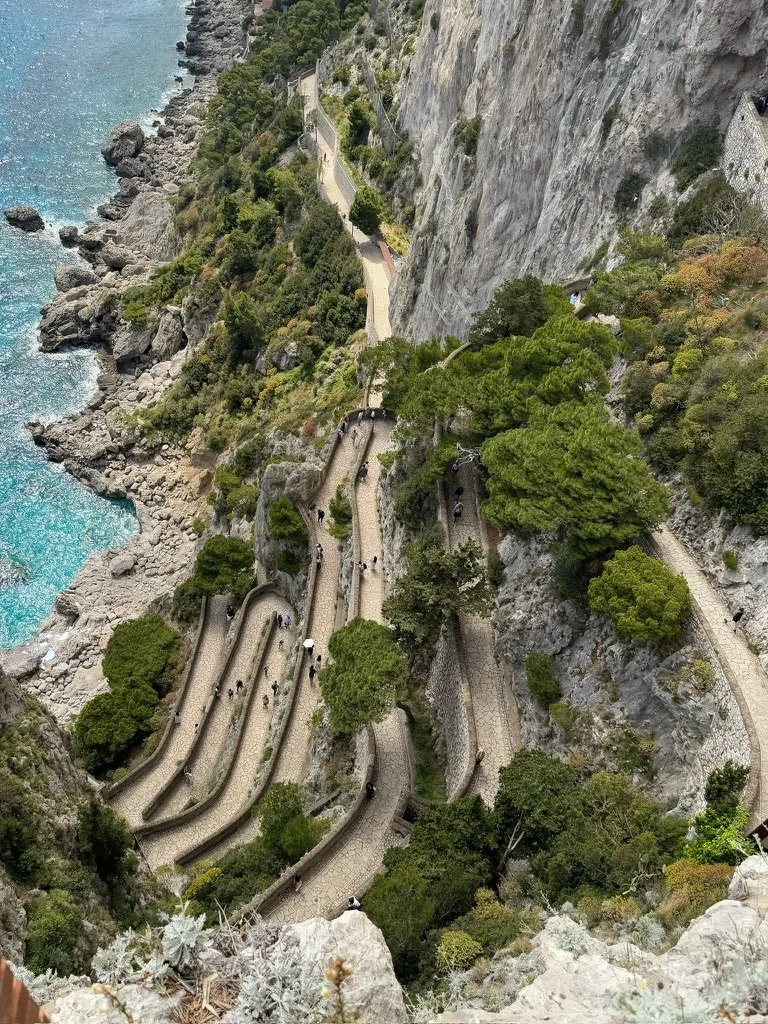 A winding stone pathway carved into the side of a mountain, with trees and shrubs growing alongside, overlooking the coast with rocky shoreline and blue waters. Shot in Capri, Italy