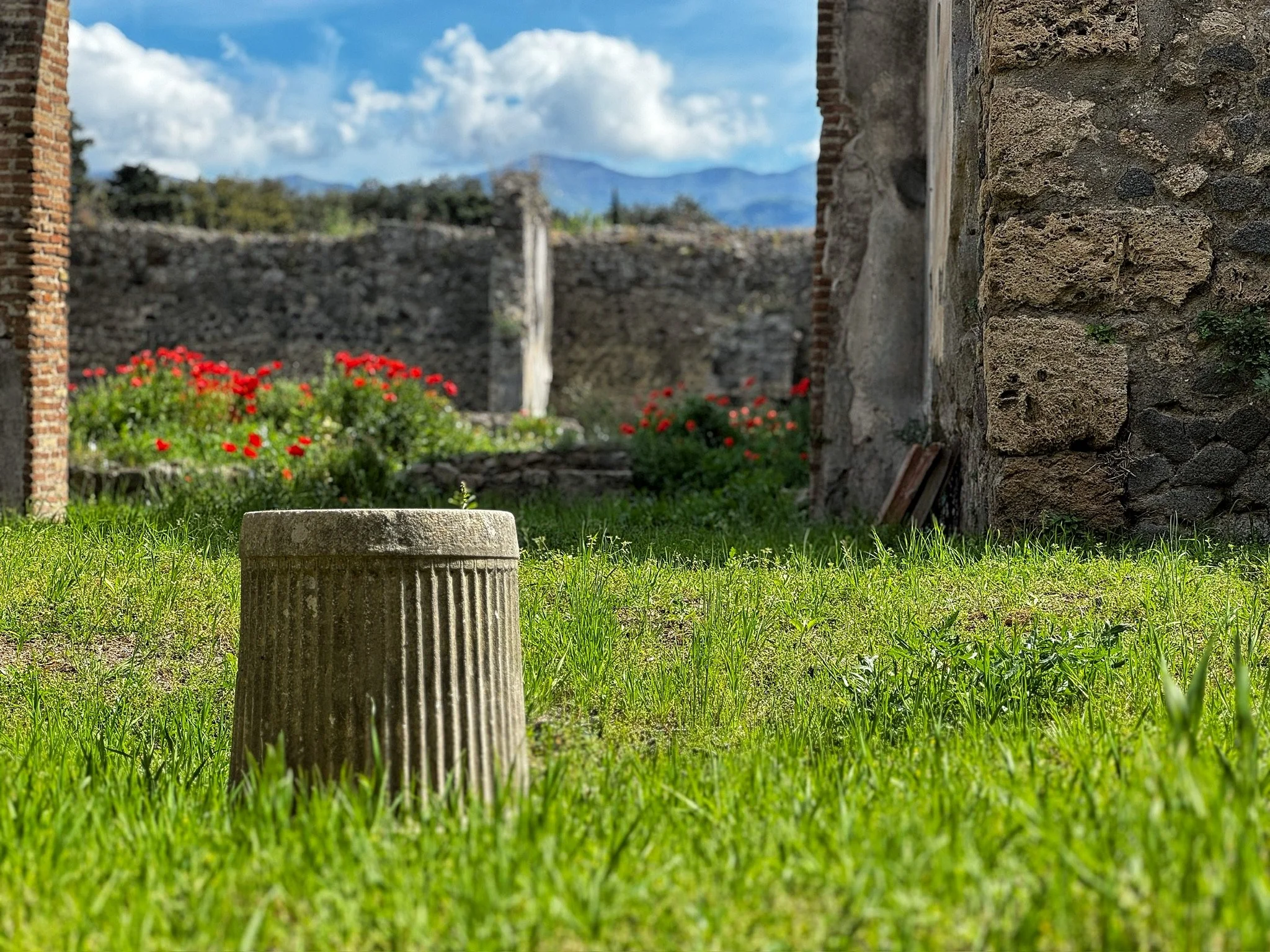 Ancient stone structure with grass in the foreground, red flowers, a stone wall, and blue mountains in the background under a partly cloudy sky. Shot in Pompeii, Italy