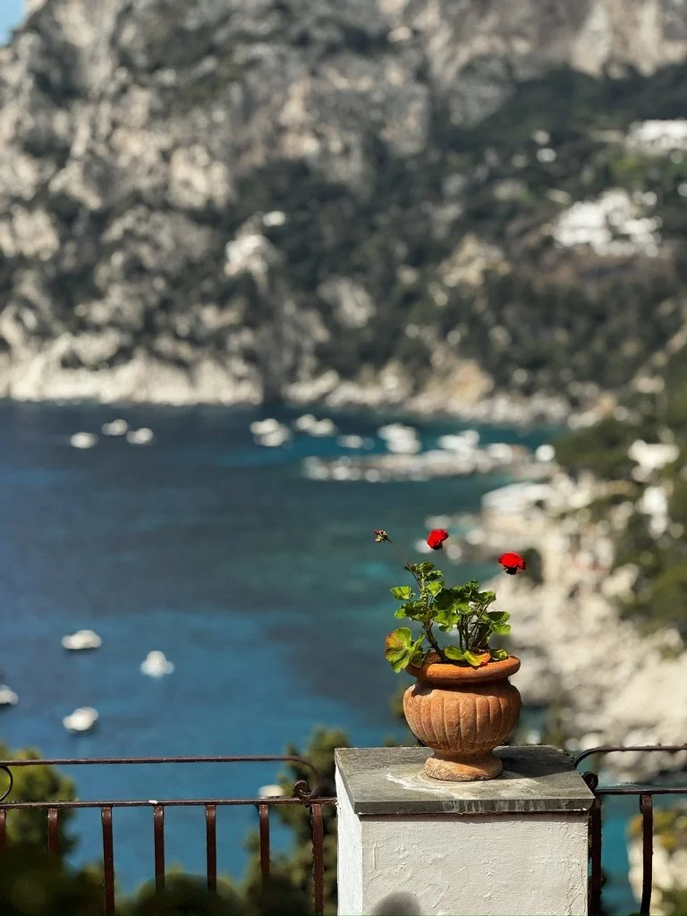 A terracotta flowerpot with red and green flowering plant on a white pedestal with a lake and mountainous landscape in the background. Shot in Positano, Italy