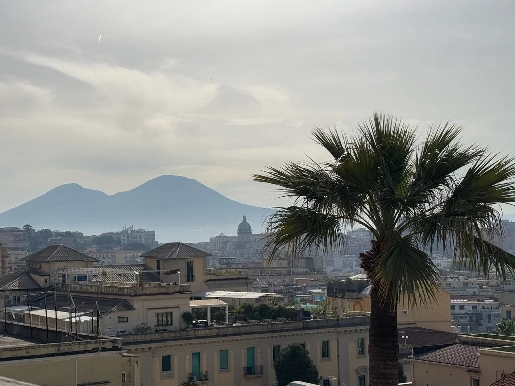 Cityscape with buildings and a palm tree in foreground, with mountains in the distance under a cloudy sky. Shot in Naples, Italy