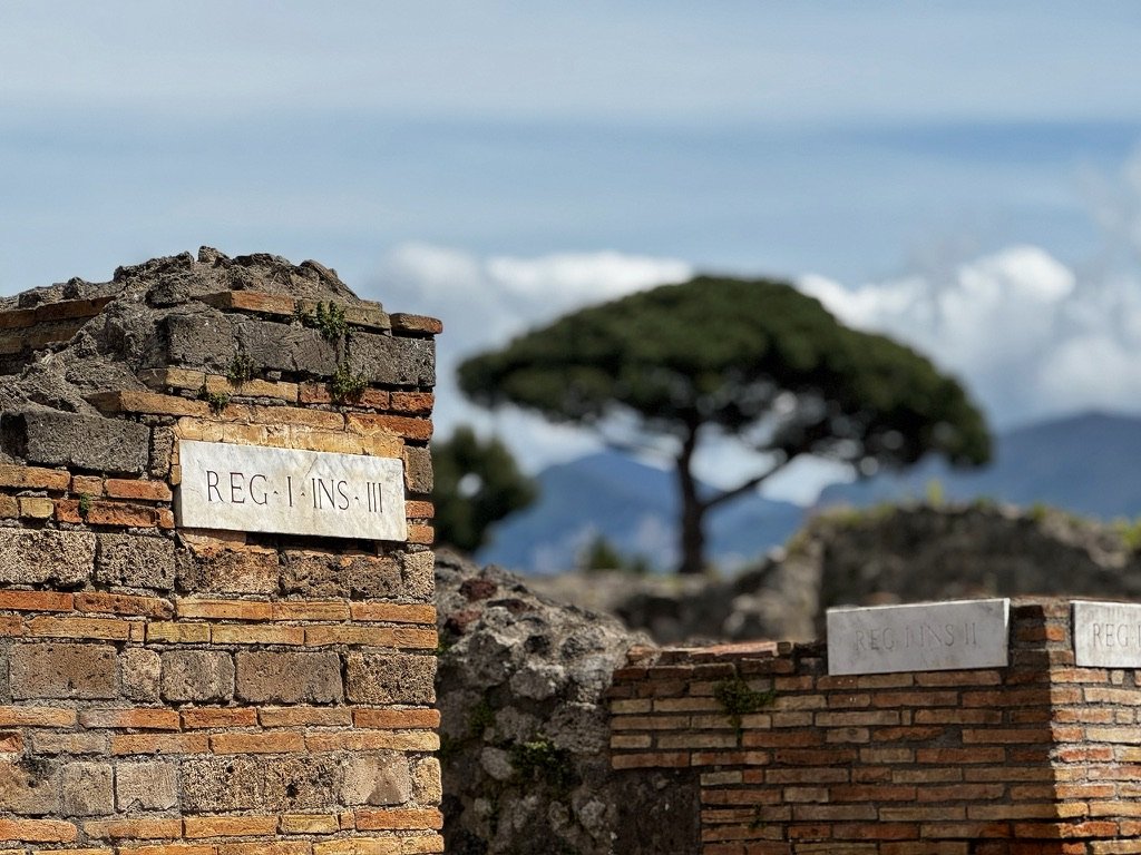 Ancient brick ruins with a white stone plaque inscribed with 'REGIINS III' in the foreground, a single tree with a rounded canopy, and mountains with a partly cloudy sky in the background. Shot in Pompeii, Italy
