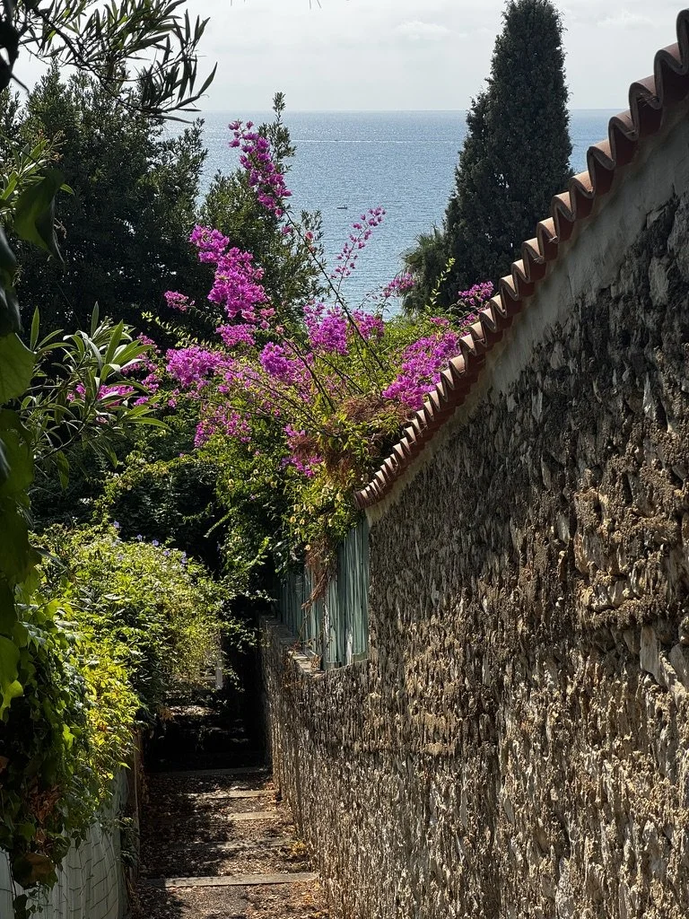 A narrow alleyway bordered by a stone wall on the right and lush green foliage on the left, with vibrant pink flowers blooming over the top of the wall. The alley leads towards the ocean visible in the background, under a partly cloudy sky.