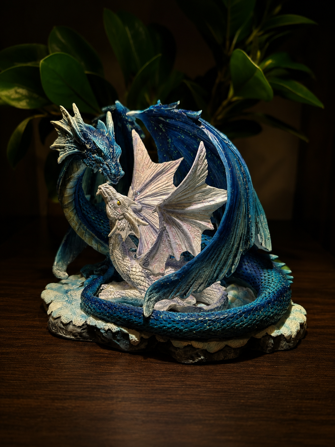 Dragon Family