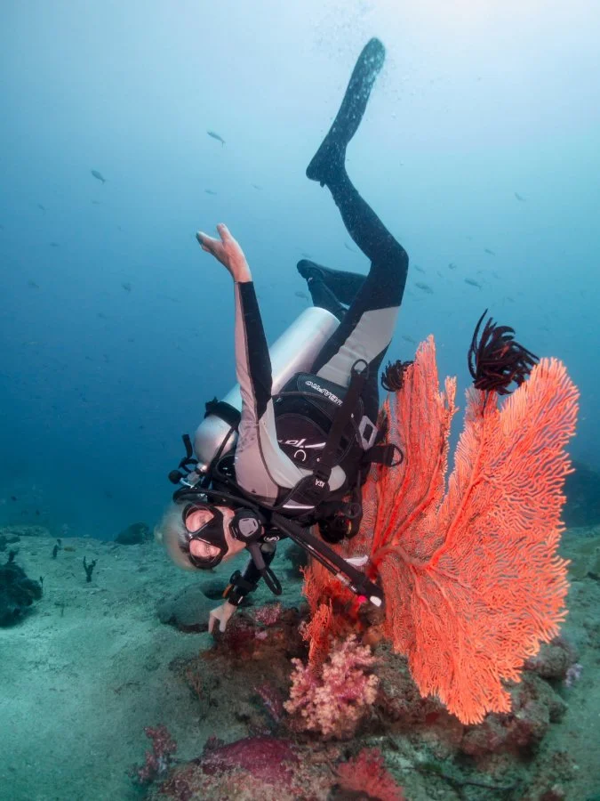 Colleen Slater - Underwater Photography – My Crazy Passion