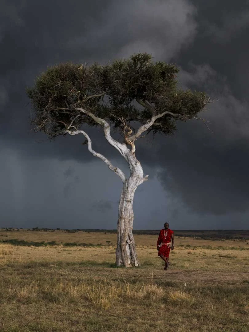 Before the Storm, Maasai Mara - Annie Mendelow
