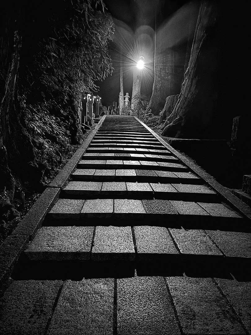 Dark Night - Alan Bromley
