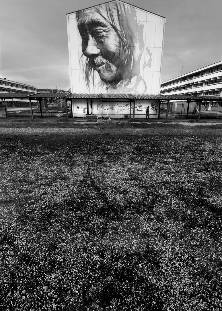 Greenland Icon | Audrey Marshall ©