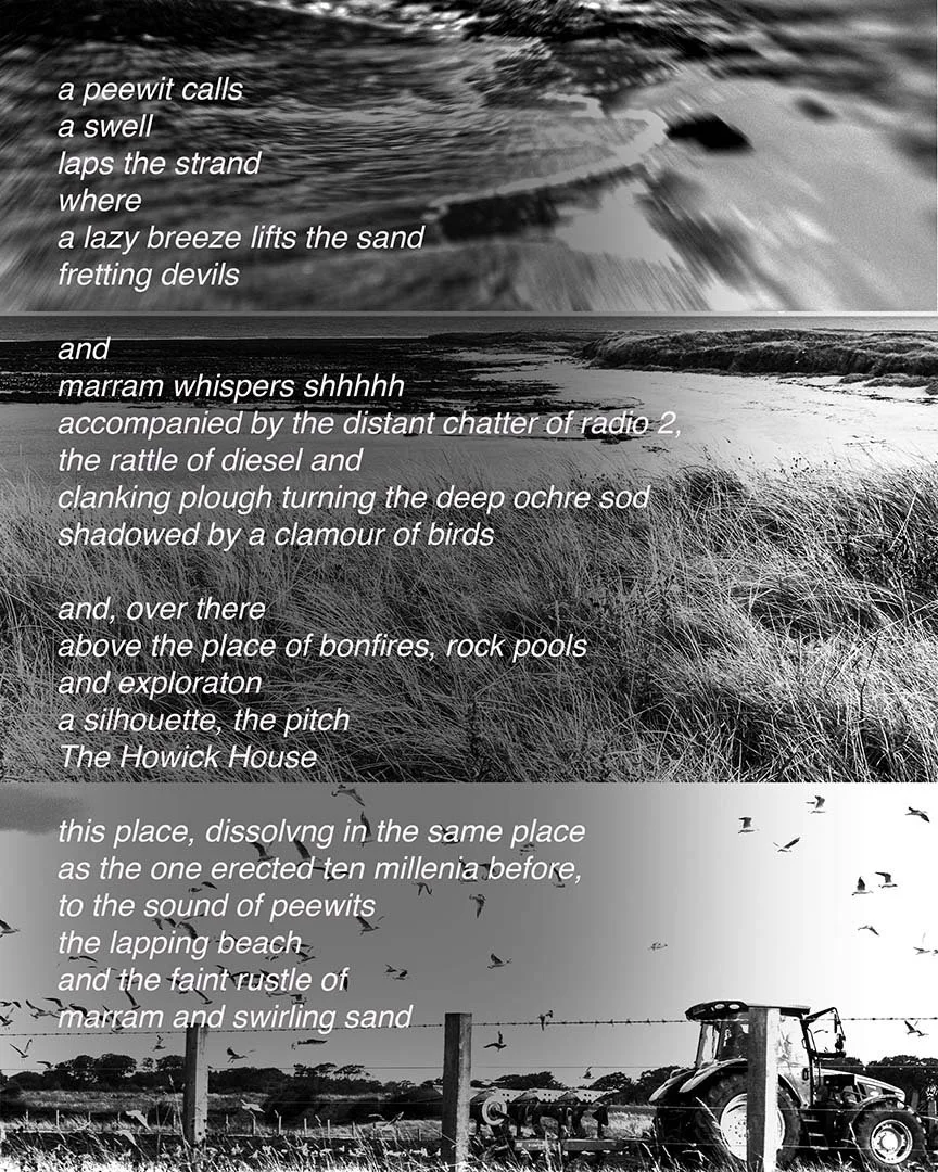 Sugar Sands - Colin Miller
