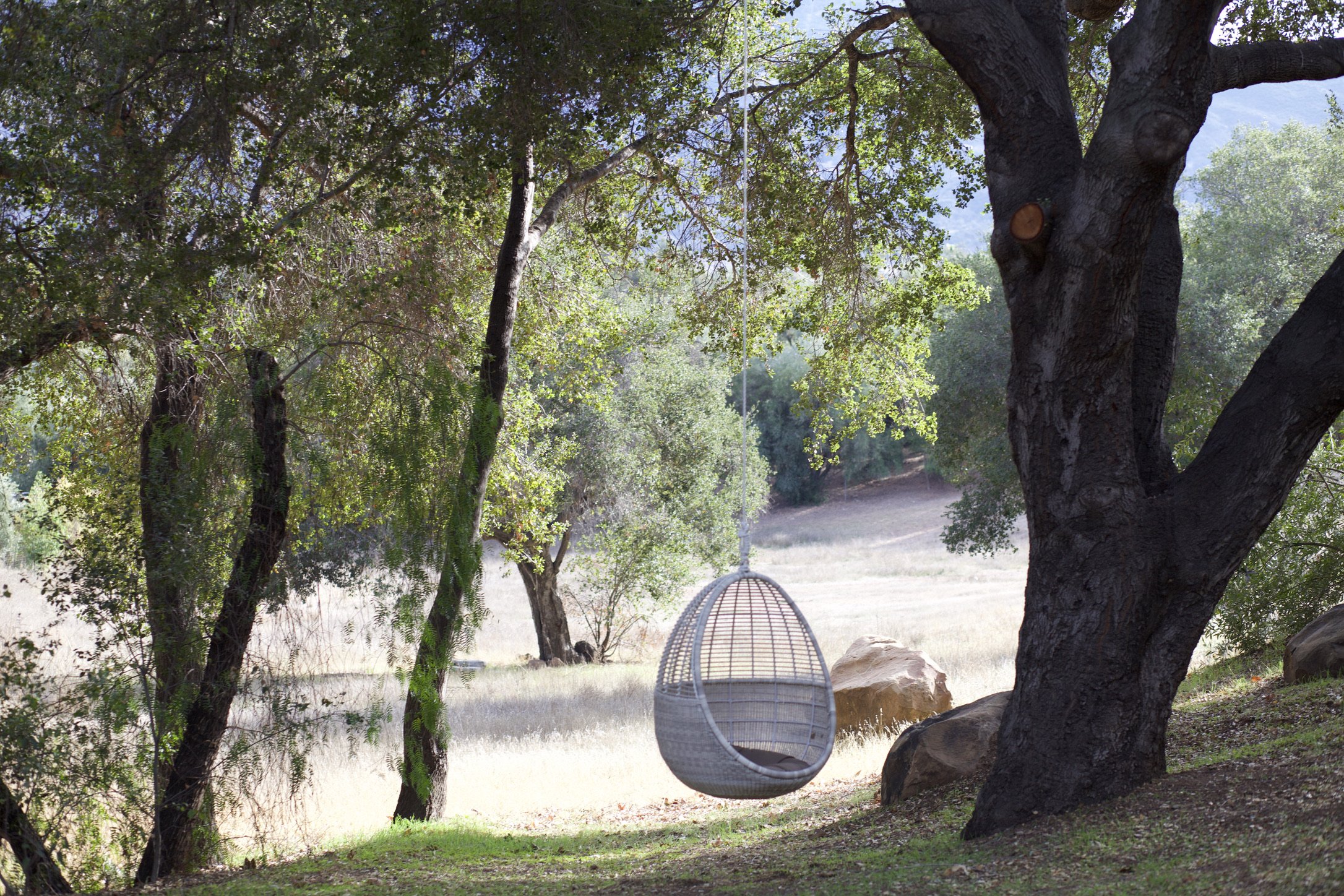 Little Outdoor Moments