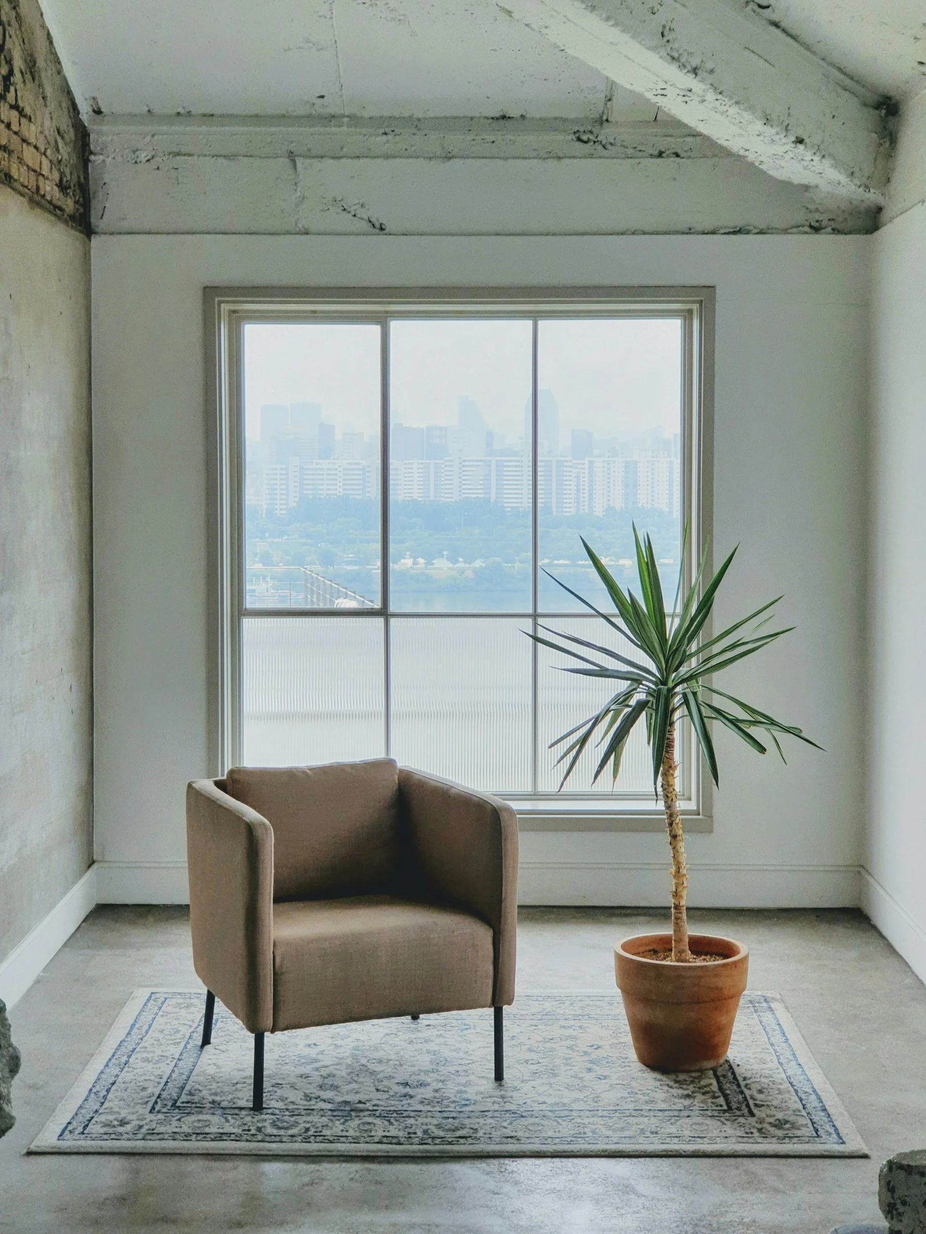 A minimalistic room with a beige armchair, a potted plant, a large window showing a city skyline, and a patterned rug.