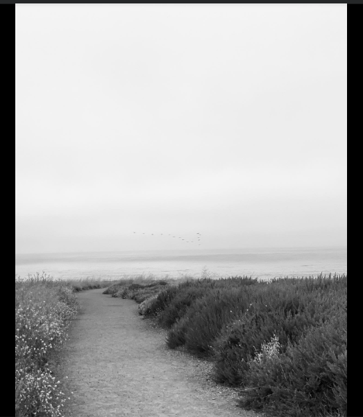 Screenshot 2025-10-12 12.09.36 AM.png