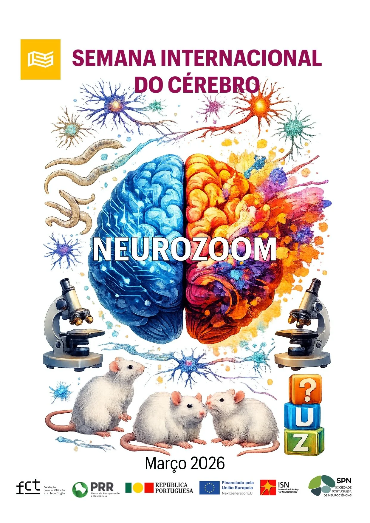 NeuroZoom