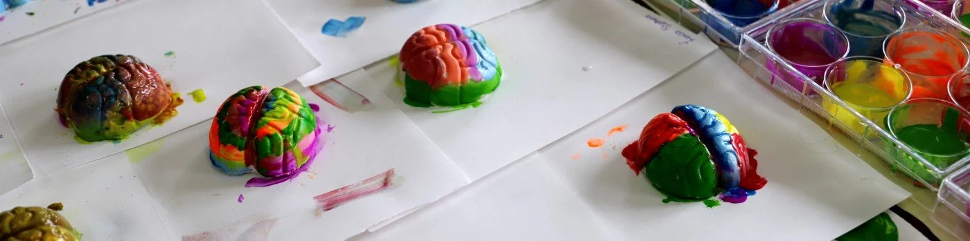 Uma viagem ao encontro do cérebro