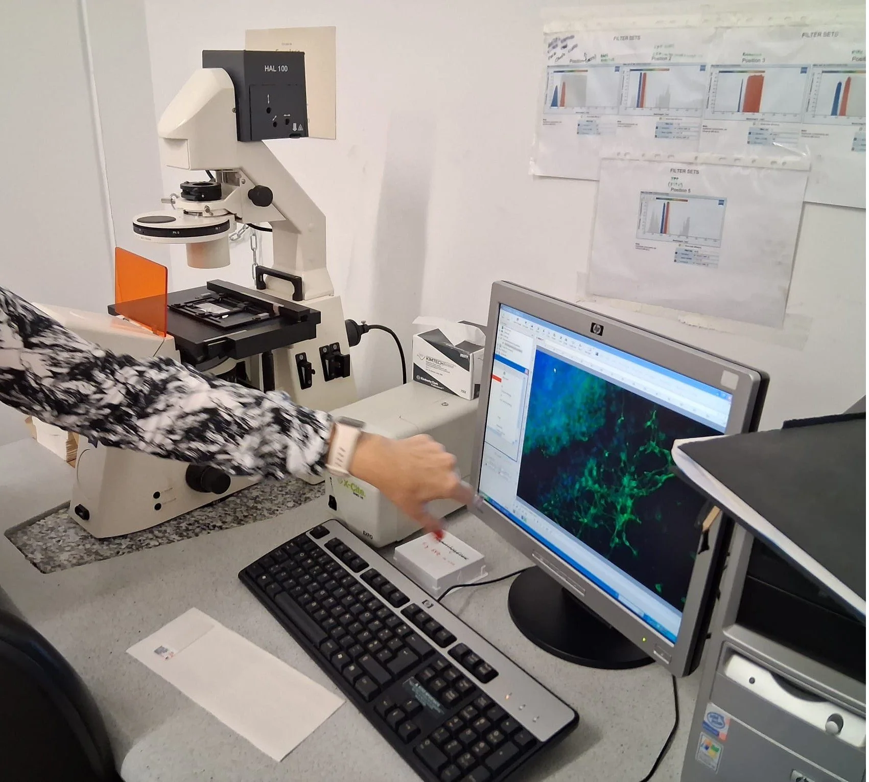 Laboratório Aberto na Escola Secundária Carcavelos