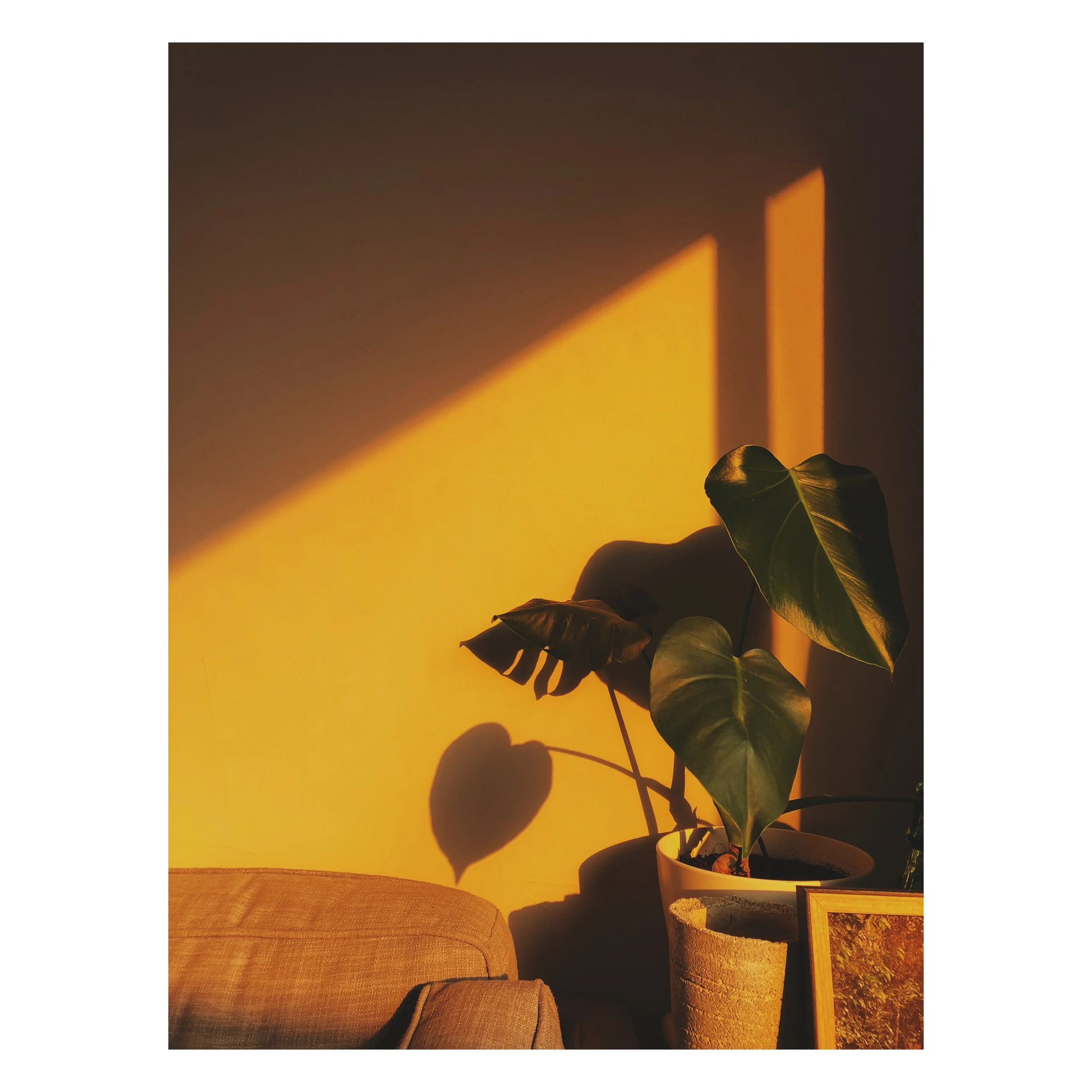 Designing With Light: Why Atmosphere Matters