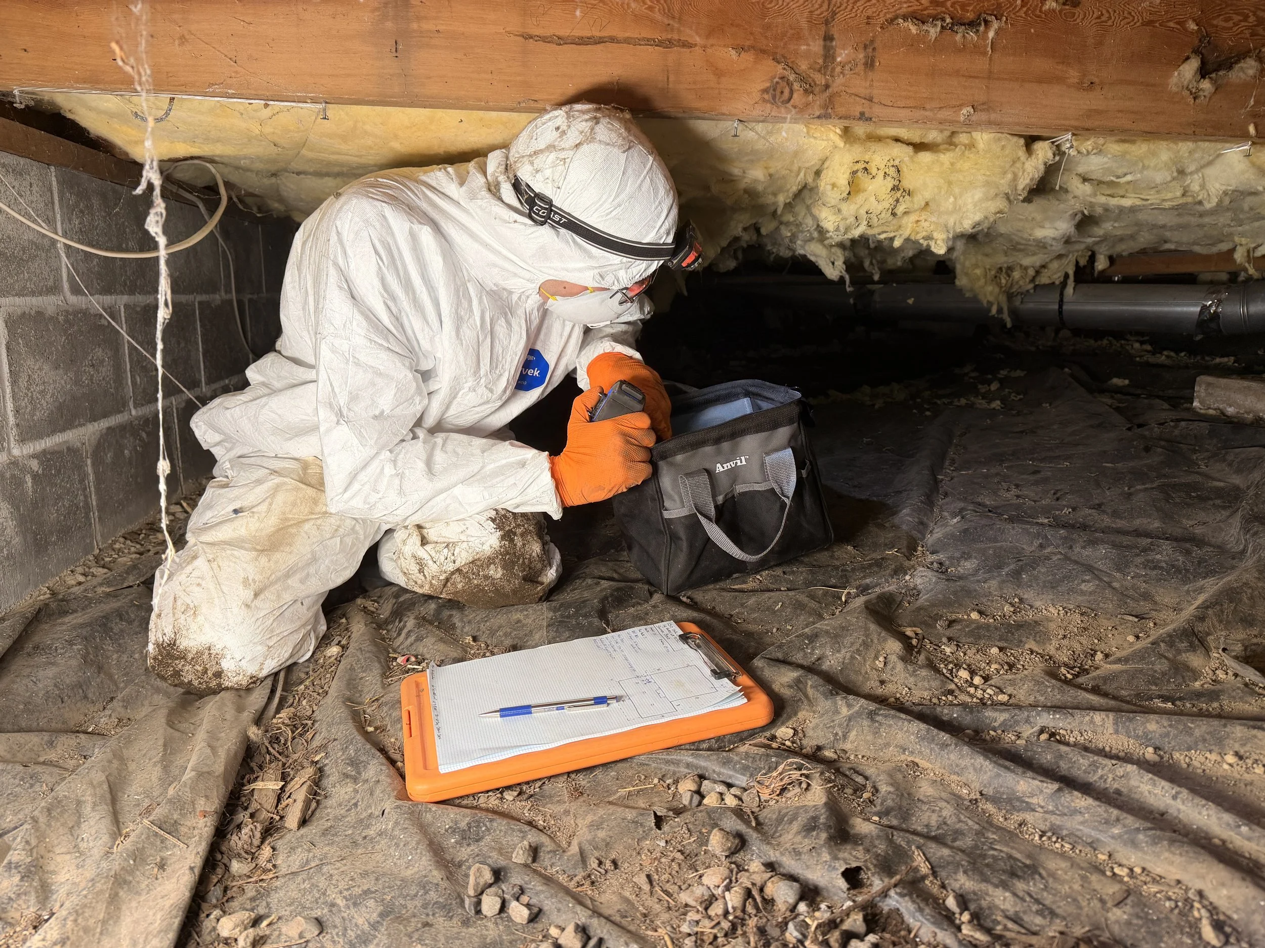 Crawl space inspection with bad vapor barrier and missing insulation