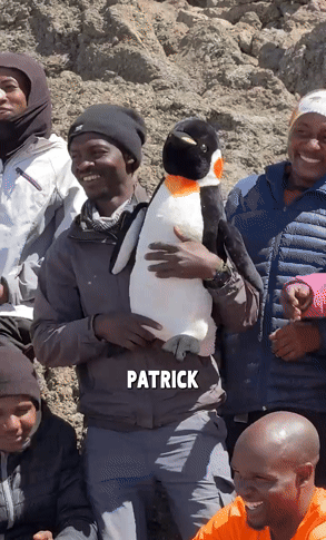 Surprising_the_Kilimanjaro_porters_with_their_biggest_tip_EV-ezgif.com-crop.gif
