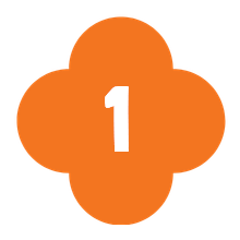 A Once-in-a-Lifetime Experience