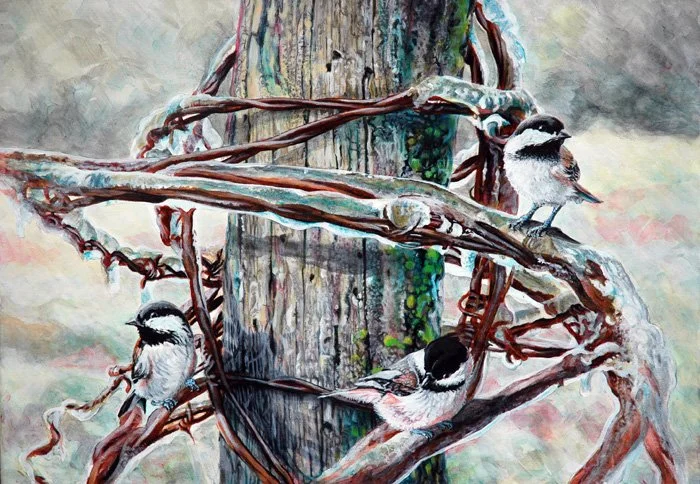Chickadees and Barb wire sm.jpg