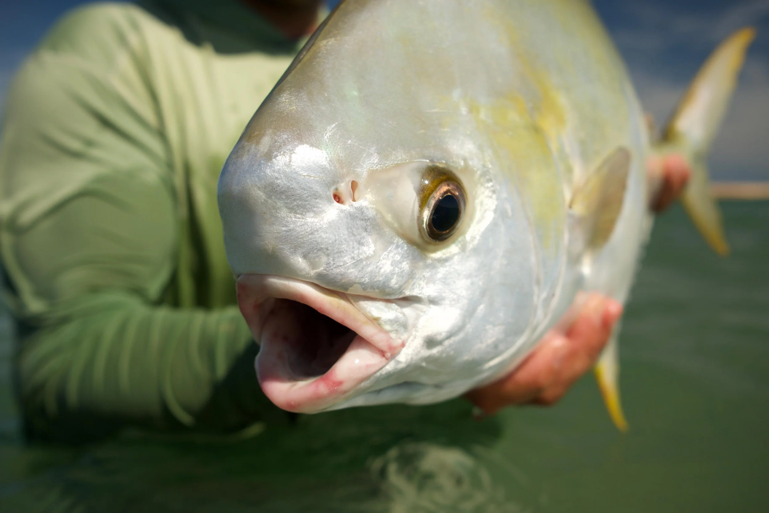 FLUX FLY FISHING EAST COAST MOTHERSHIP 9e1ae3f1-a219-4db5-91a5-b82c832571a1.jpg