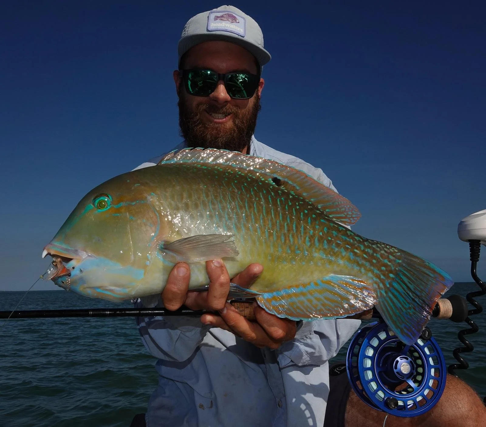 Jack Richards profile picFLUX FLY FISHING WEIPA GUIDED FISHING.jpg