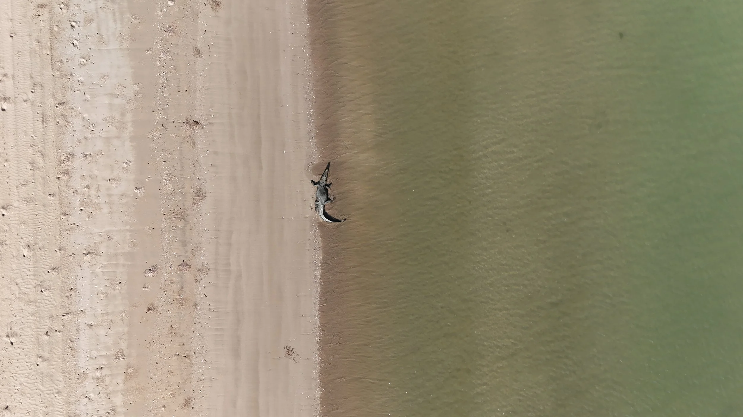 dji_fly_20250704_095348_0200_1751621337625_photoFLUX FLY FISHING WEIPA GUIDED FISHING.jpg