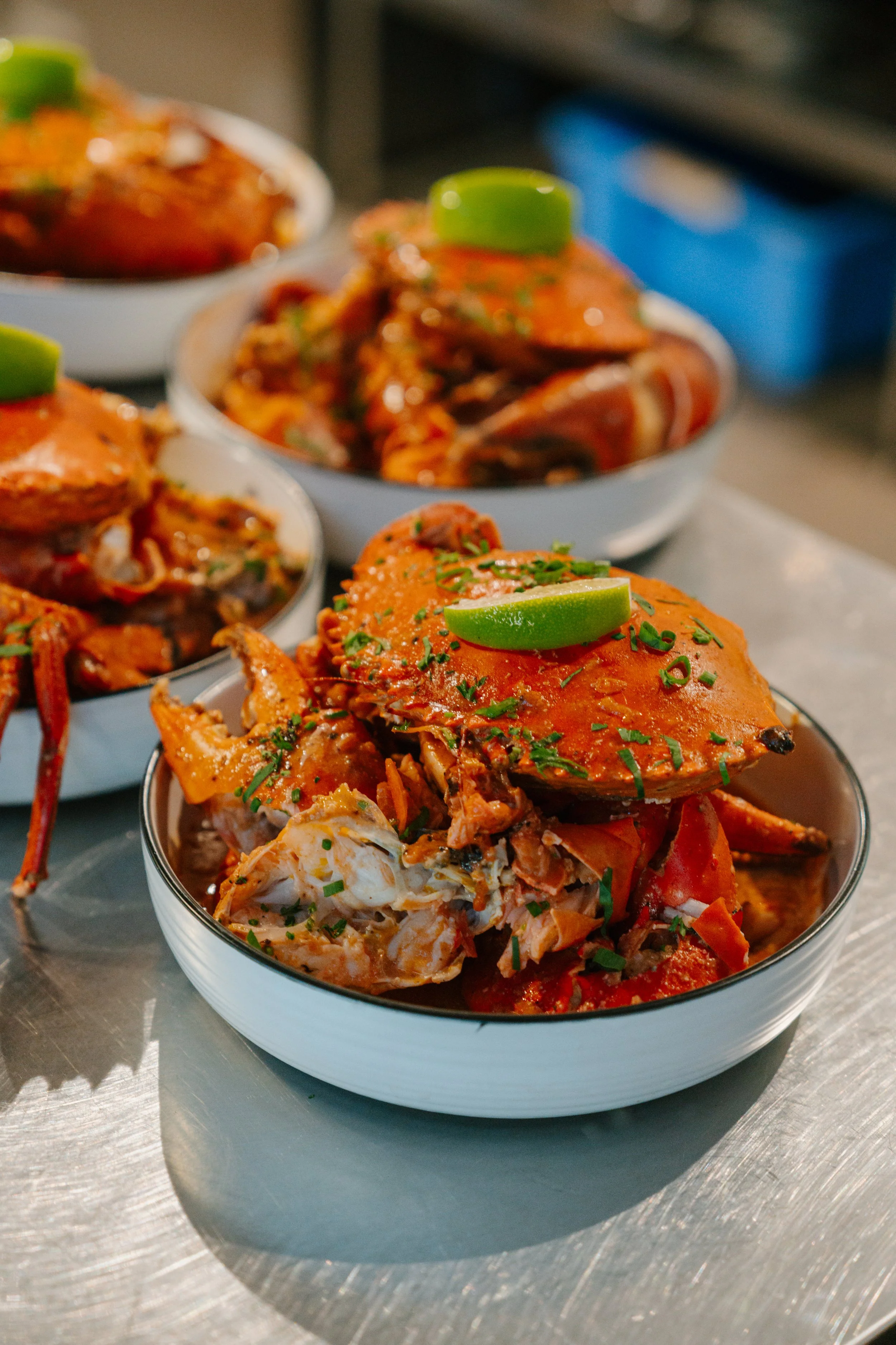 weipa-97FLUX FLY FISHING WEIPA GUIDED FISHING CHARTERS CAPE YORK.jpg