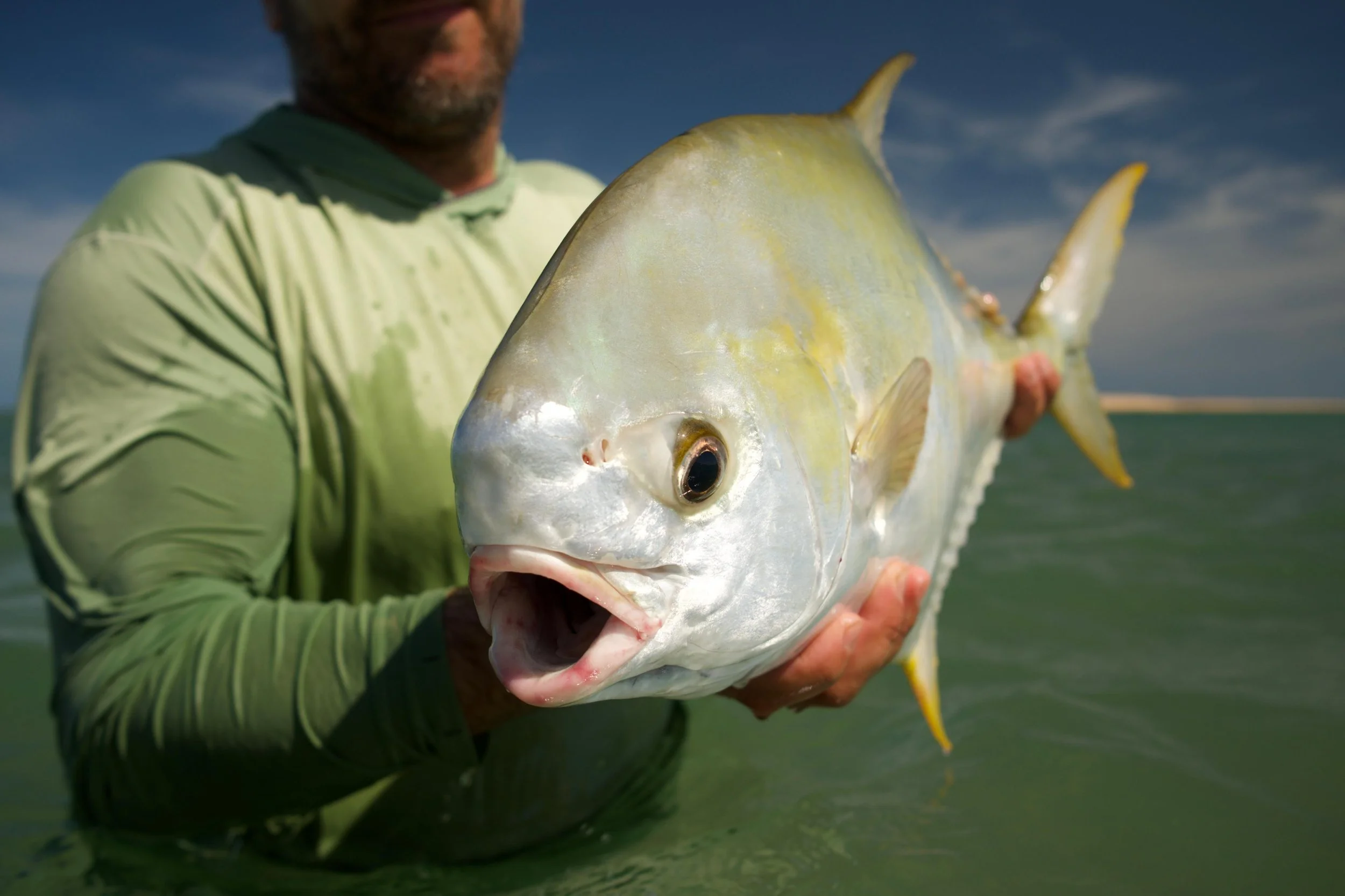 0b46ee3a-594d-40ac-ac04-6c27777ce772FLUX FLY FISHING WEIPA GUIDED FISHING.jpg