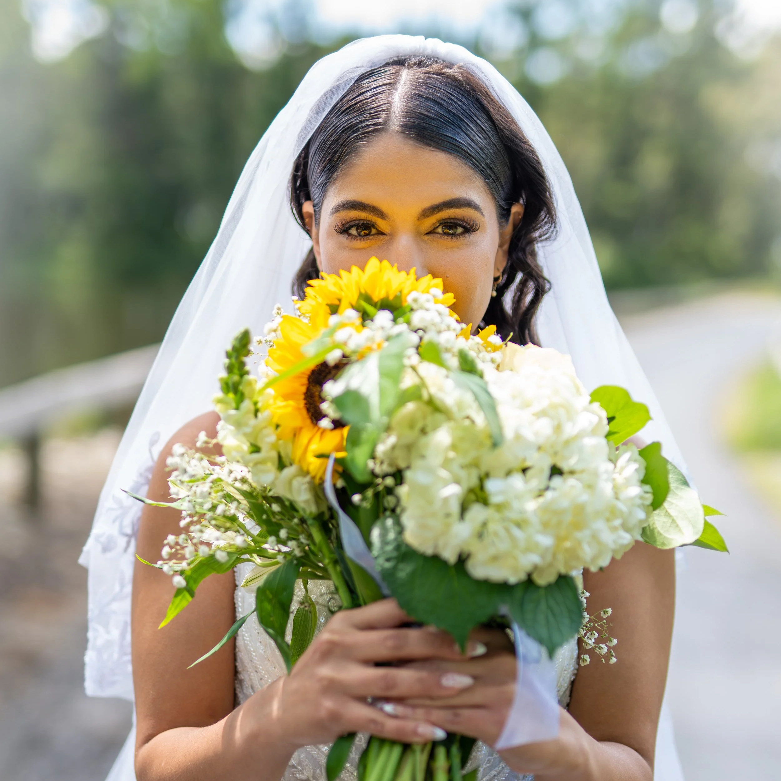 The Signature Collection