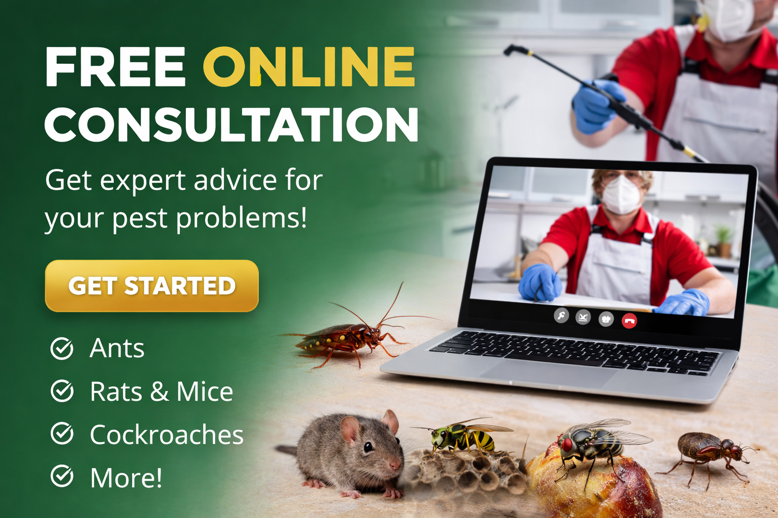 Free Online/Phone Consultation