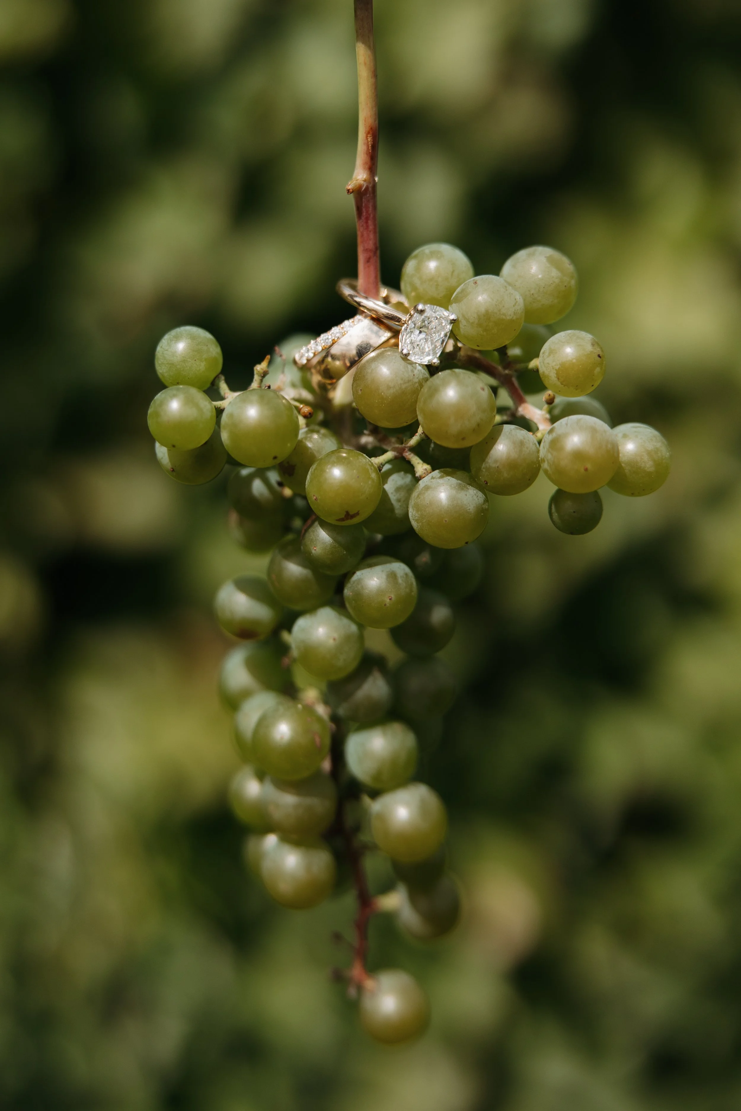 Close-up of a bunch of green grapes with a diamond engagement ring resting on top.