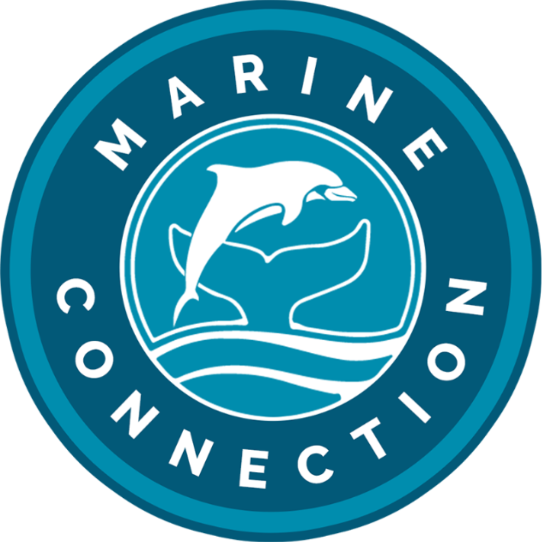 Marine Connection logo