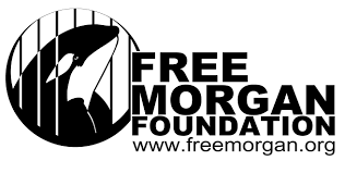 Free Morgan Foundation logo