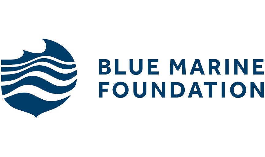 Blue-Marine-Foundation-logo-blue.png