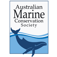 Australian Marine Conservation Society logo
