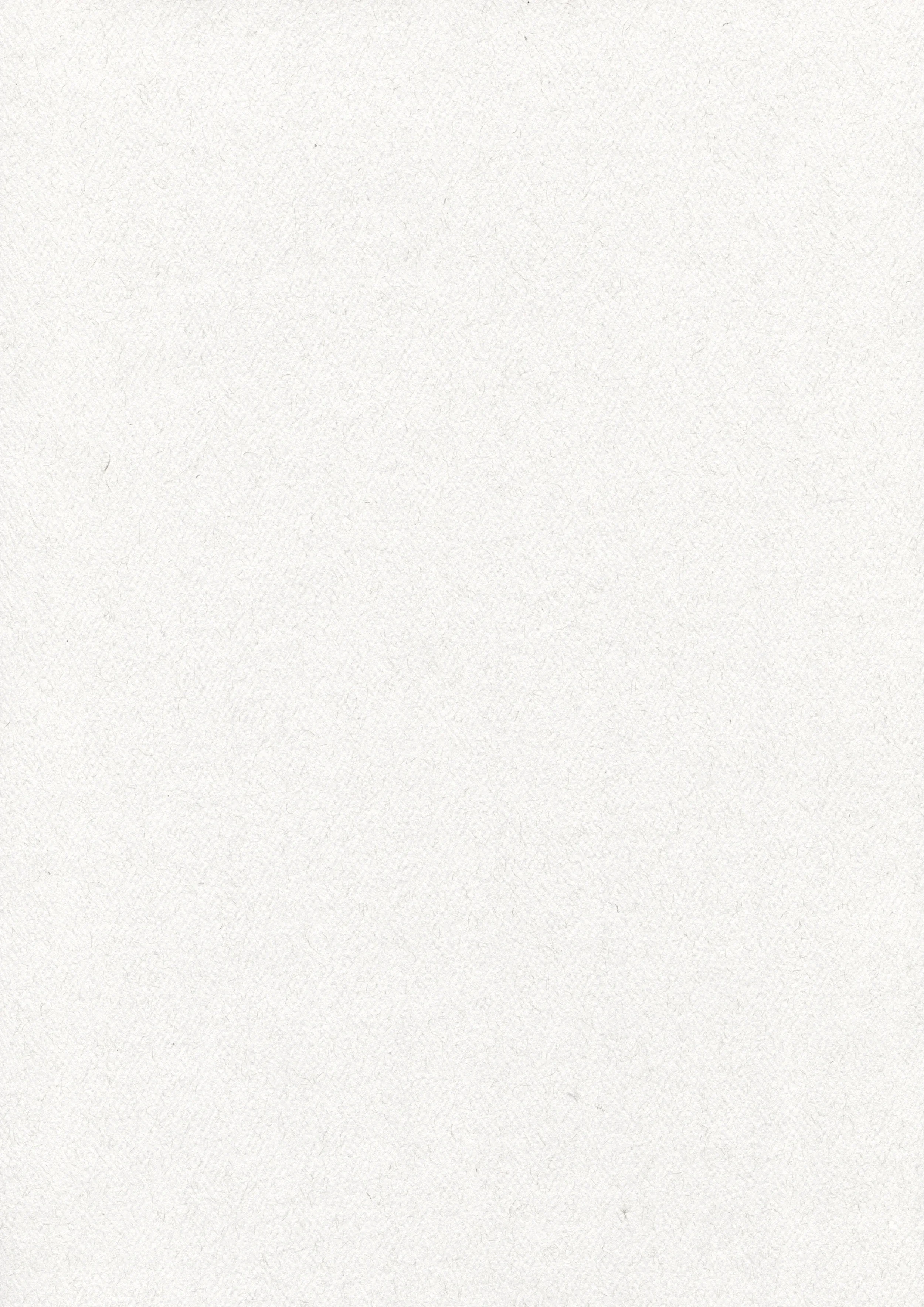 A blank white textured background.