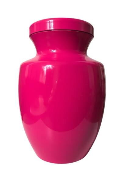 Gloss Pink