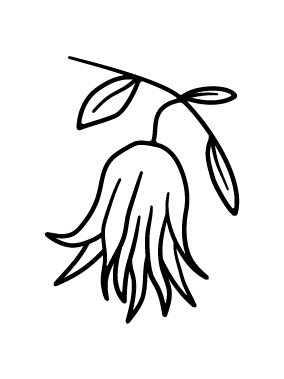 Silhouette of a dog standing and looking to the right, on a white background.