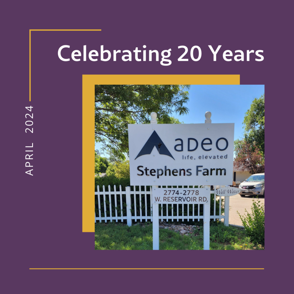 Celebrating 20 Years of Stephens Farm at Adeo
