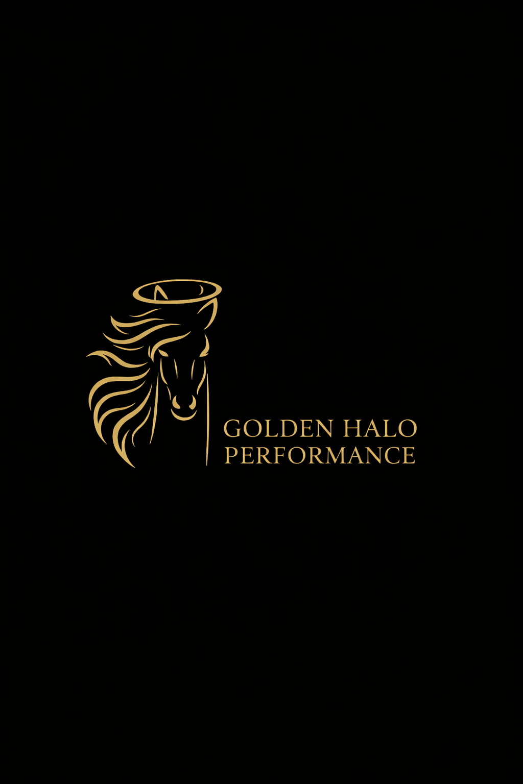 Black background with a gold outline of a stylized lion's head wearing a halo and the text 'GOLDEN HALO PERFORMANCE' in gold letters.