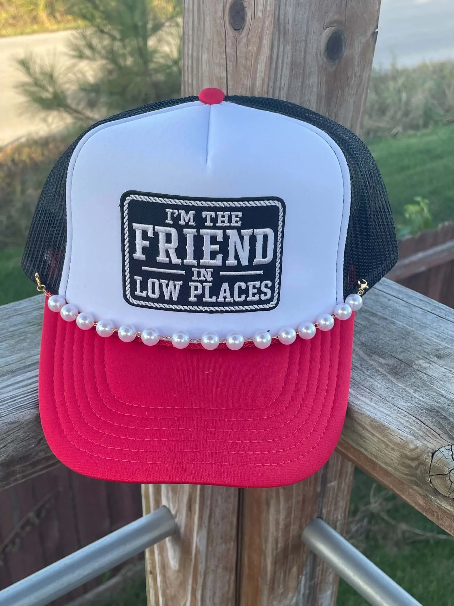 Friend in Low Places.jpg