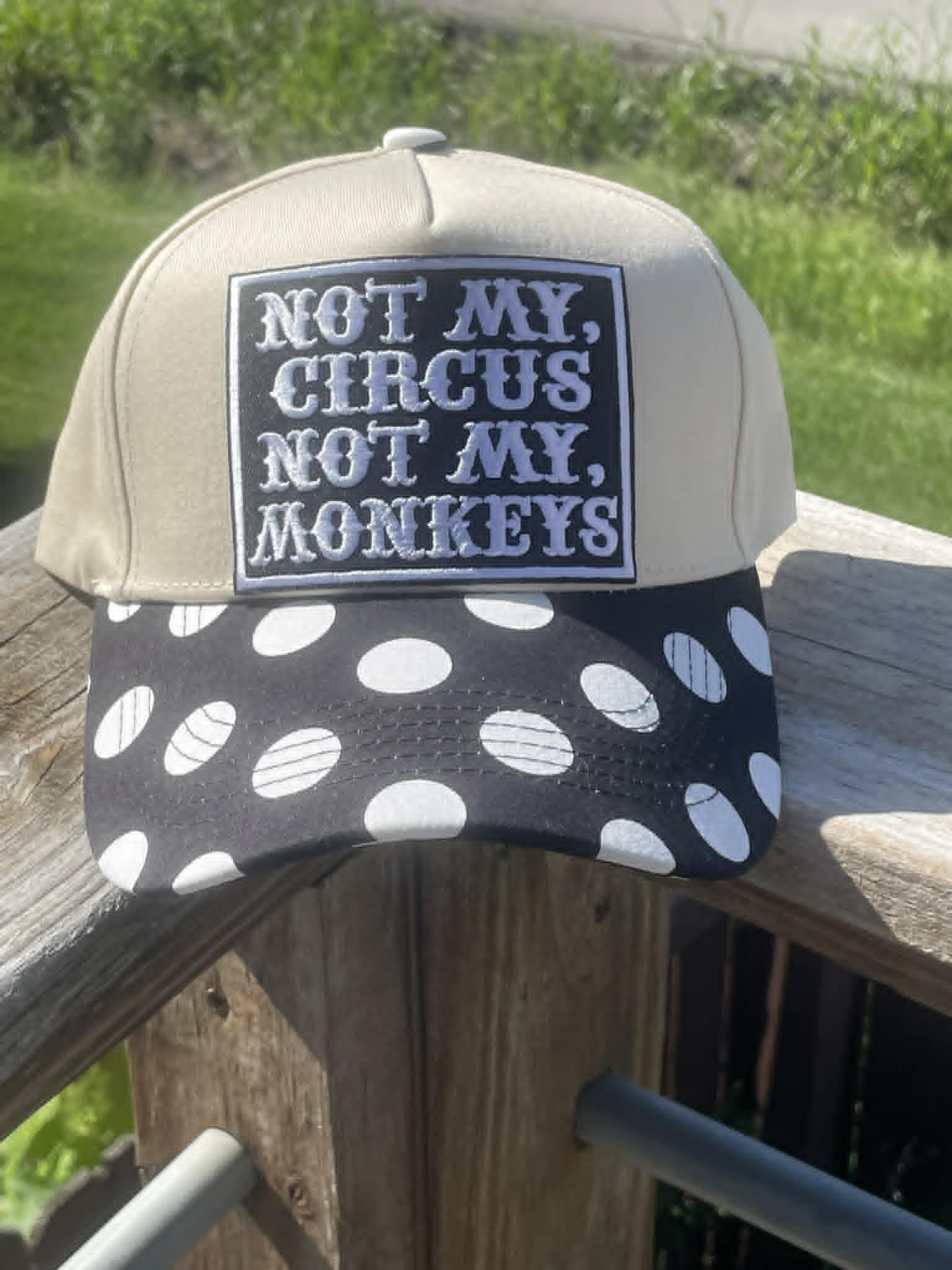 Not My Circus Not My Monkeys
