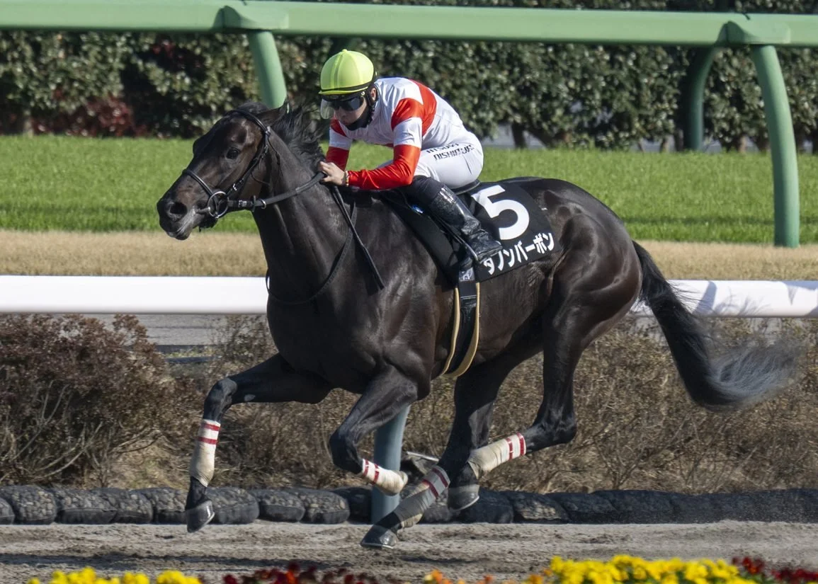 Danon Bourbon Japans 2026 Kentucky Derby contender