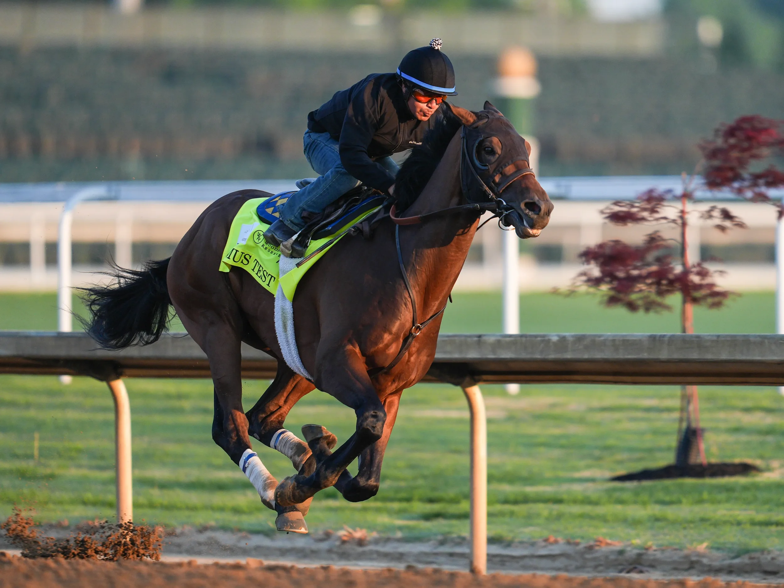 Litmus Test Kentucky Derby 2026 Power Rankings