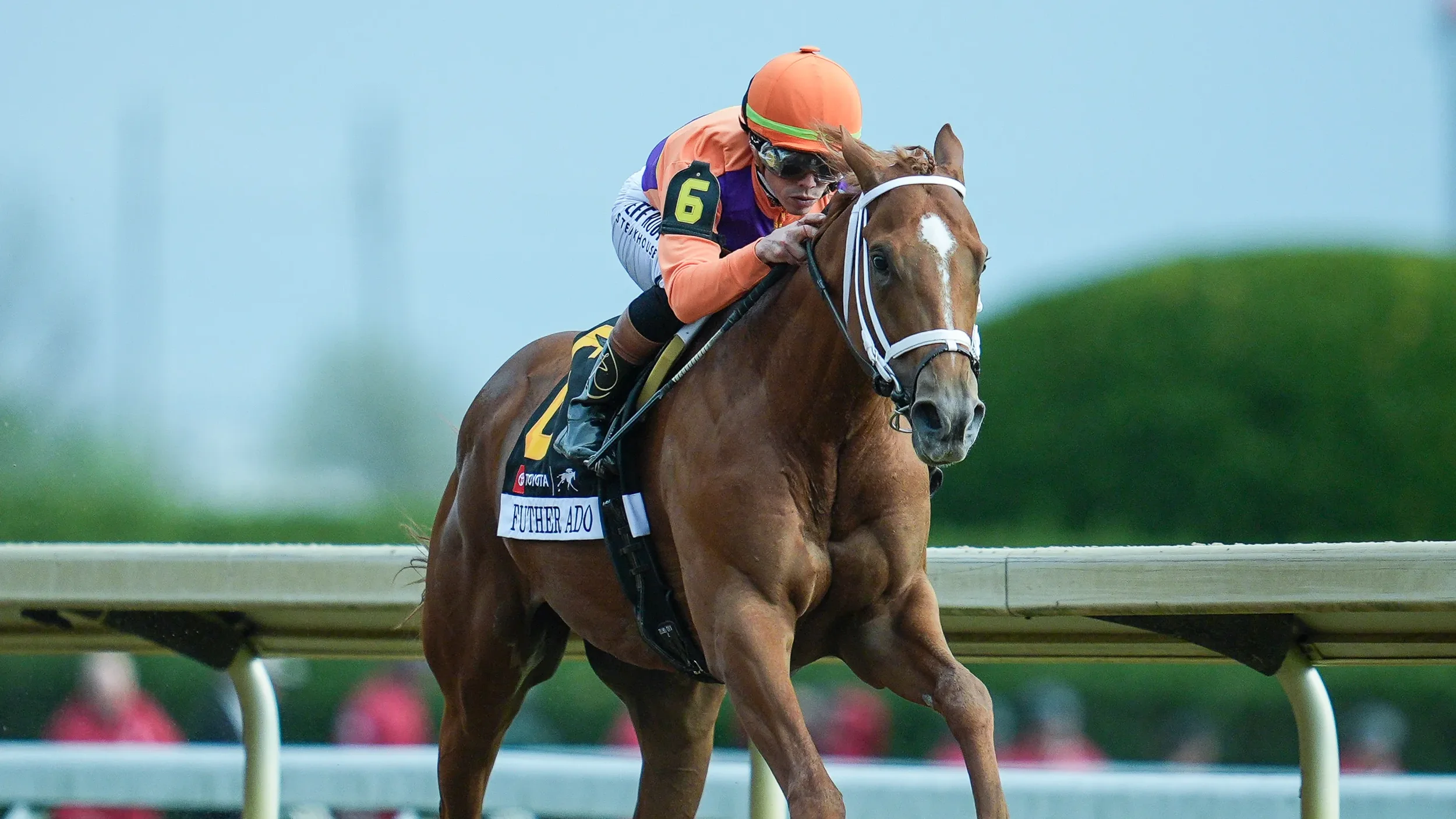 Kentucky Derby contender Further Ado 106 Beyer