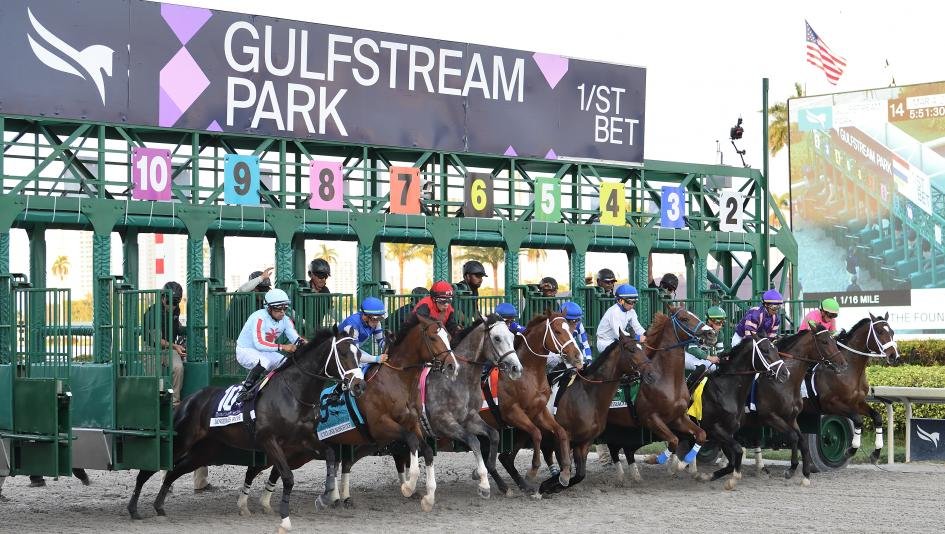 Fountain of Youth Stakes (G2)