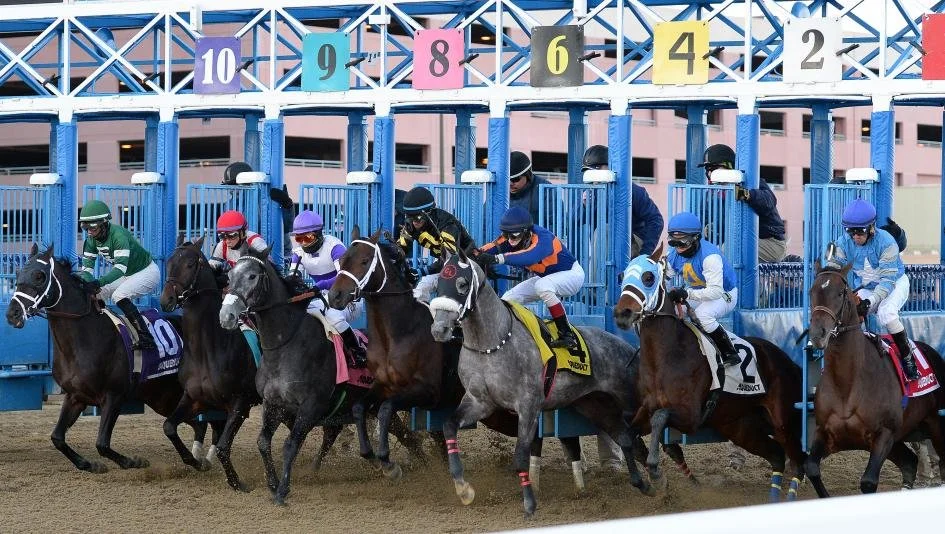 Gotham Stakes 2026 Preview &amp; Picks | Can Iron Honor Stay Undefeated?