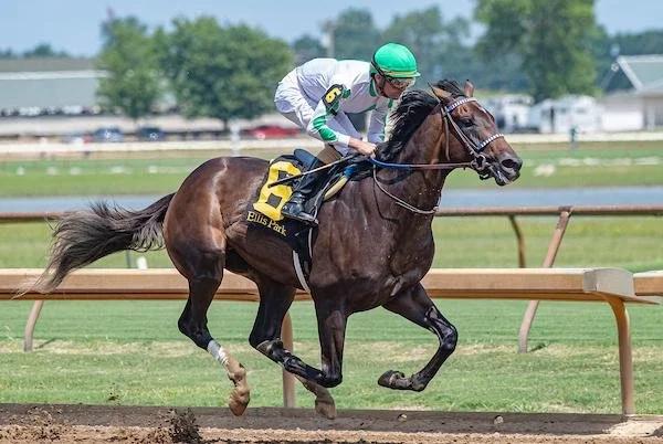 2026 Grade 2 Rebel Stakes Preview &amp; Betting Strategy