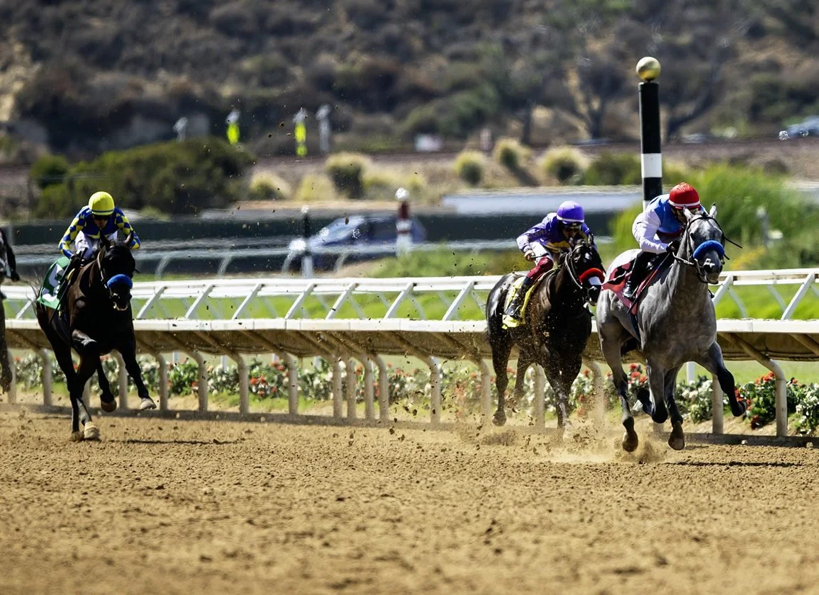 San Felipe Stakes 2026: Key Contenders, Pace, and Betting Insights